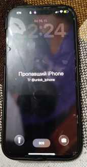 попался на мошейников