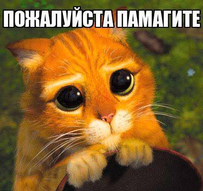 ПОЖАЛУЙСТА ПОМОГИТЕ ЛЮБОЙ СУММОЙ 🙏🙏