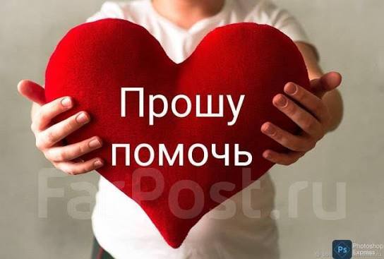 ПОМОГИТЕ ХОТЯ БЫ НА НОВОГОДНИЙ СТОЛ 😔😔😔