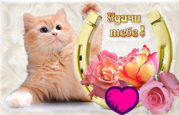 Пожалуйста помогите маме на др Не пройдите мимо 🥺