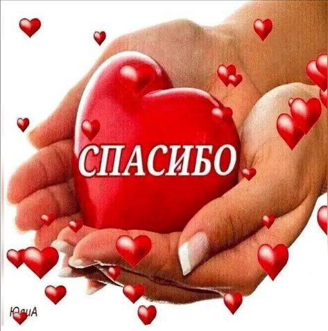 УВАЖАЕМЫЙ ВИТАЛИЙ ВЛАДИМИРОВИЧ, СПАСИБО 🙏🏻