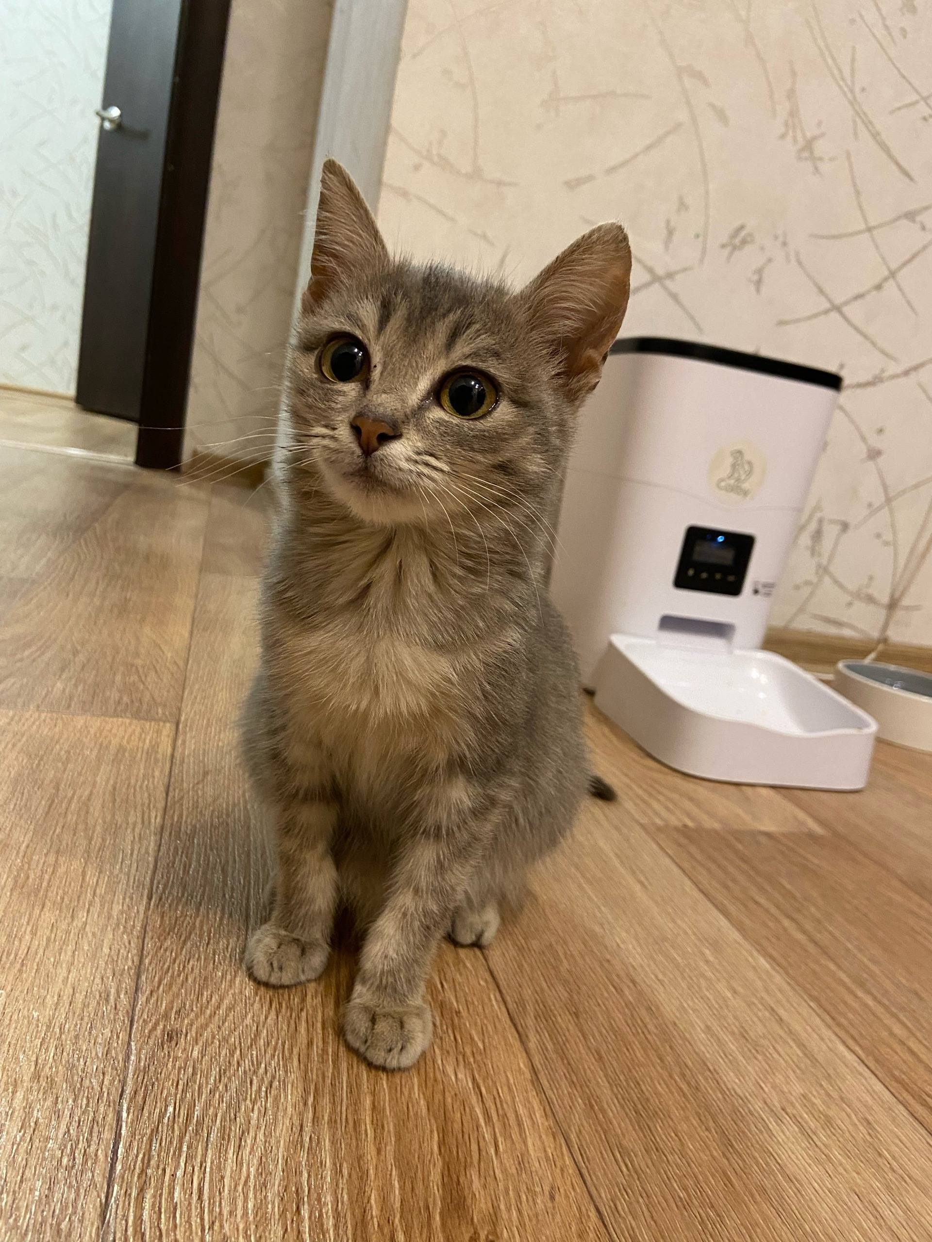 Помогите собрать Все на операцию!!