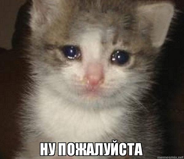 😭😭МОЛЮ ПОЖАЛУЙСТА ПОМОГИТЕ ПОЖАЛУЙСТА 🥺🥺