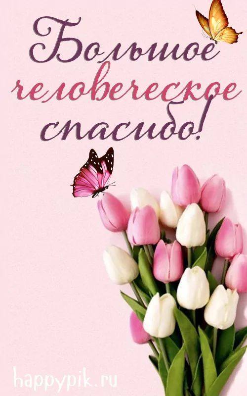 Регина Владимировна, сердечная благодарность вам!