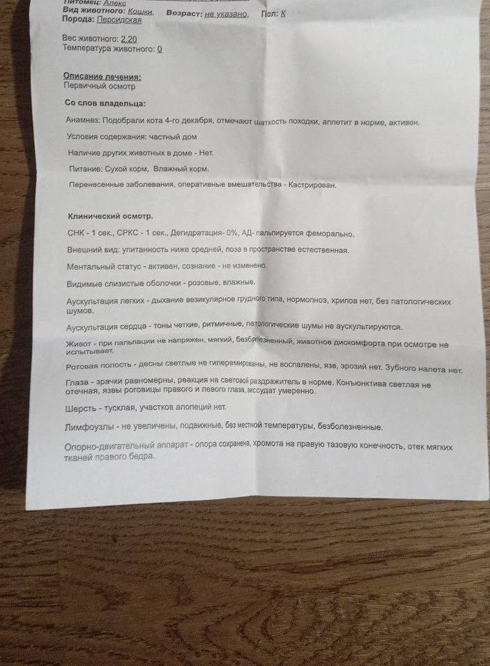 Помогите коту