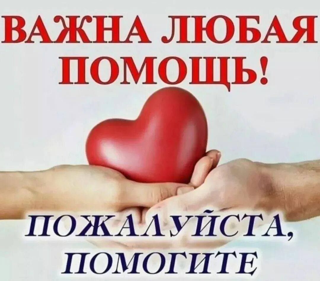 Помогите пожалуйста собрать сумму на дрова остаток