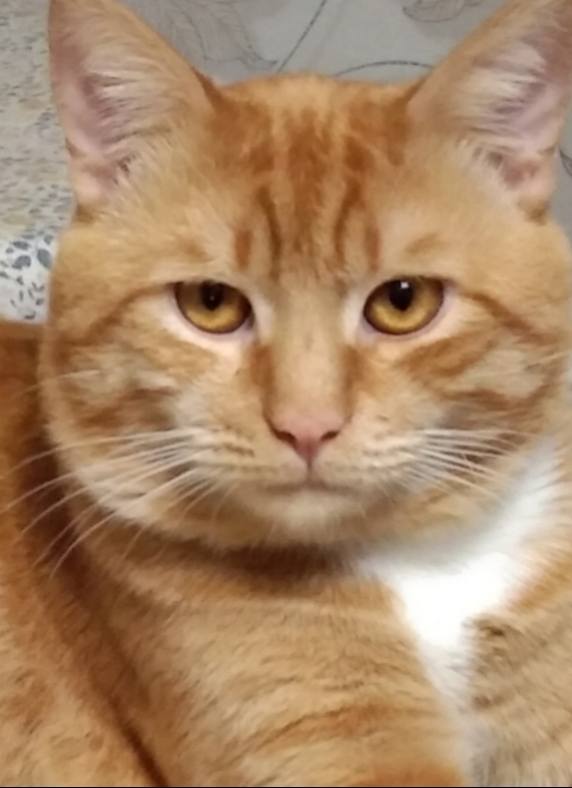 Помогите пожалуйста в трудной жизненной ситуации