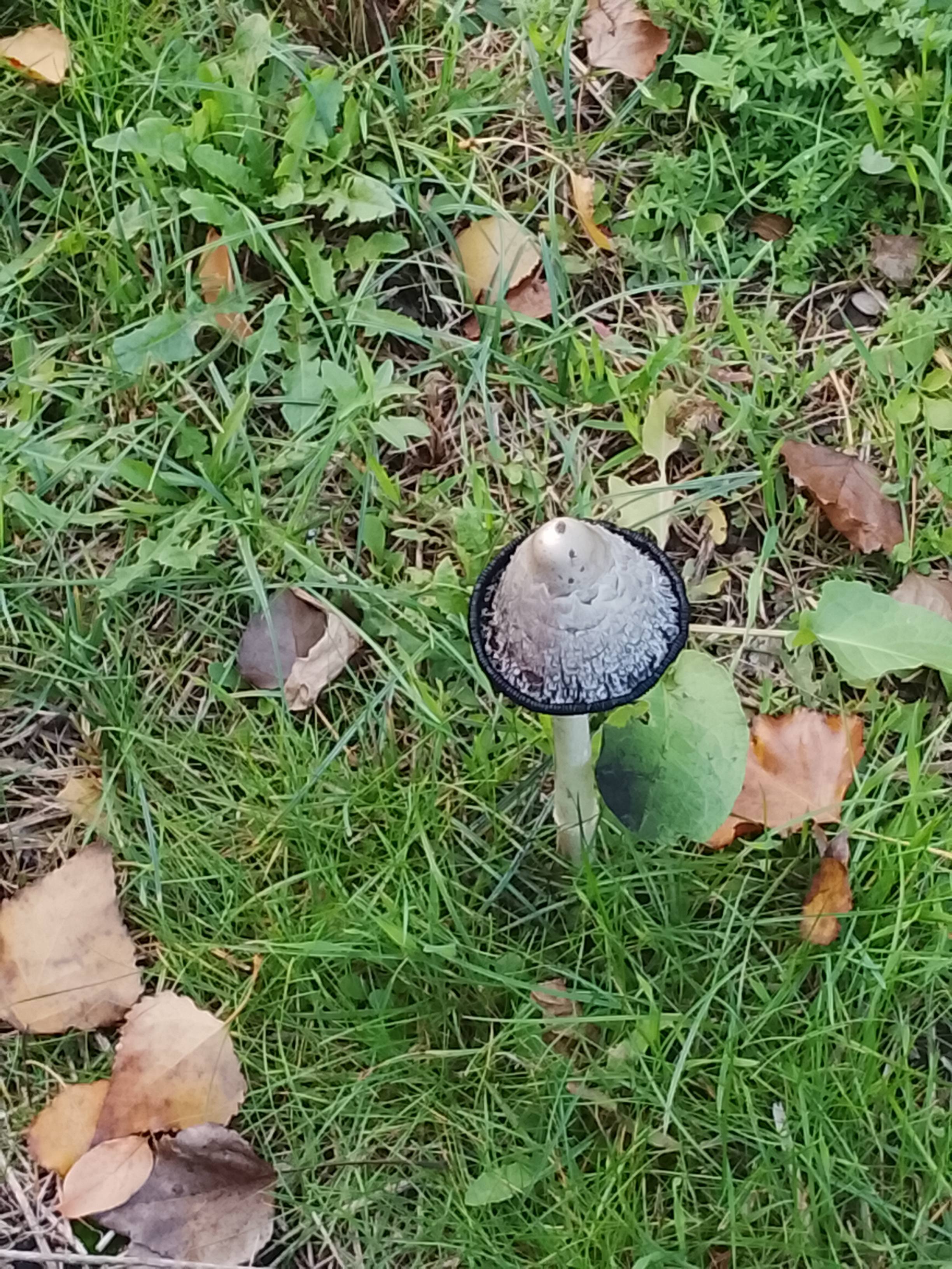 Помогите пожалуйста деньгами.