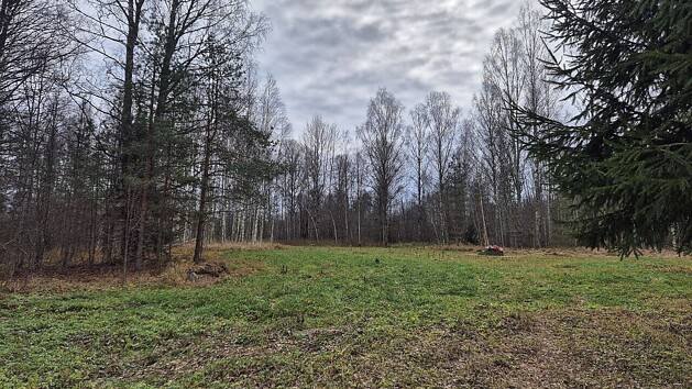 Помощь деревенскому кладбищу