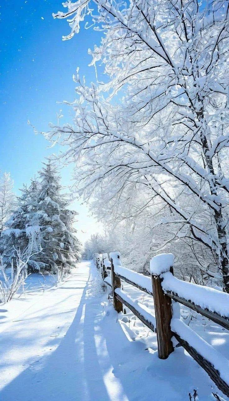 В зимние морозы тяжело. Помогите немного, пожалуй