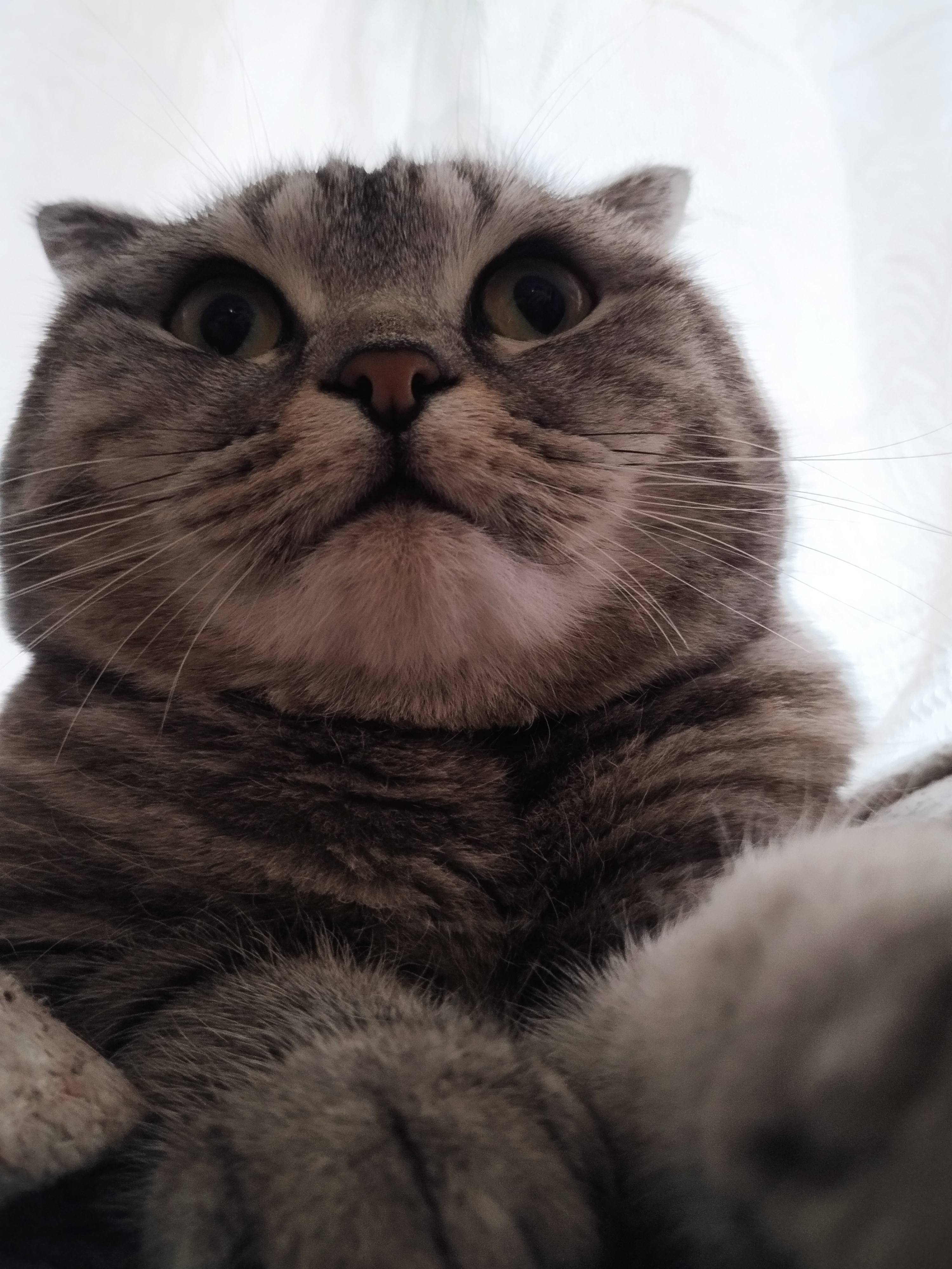 Пожалуйста, помогите в погашение кредитов