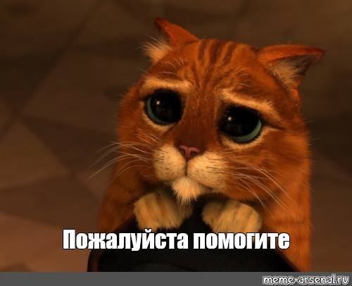 ПОЖАЛУЙСТА ПОМОГИТЕ ЛЮДИ ОЧЕНЬ НУЖНА ВАША ПОМОЩЬ