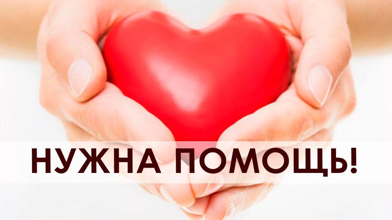 умоляю о помощи,пустой холодильник,стол, полки🙏🏻