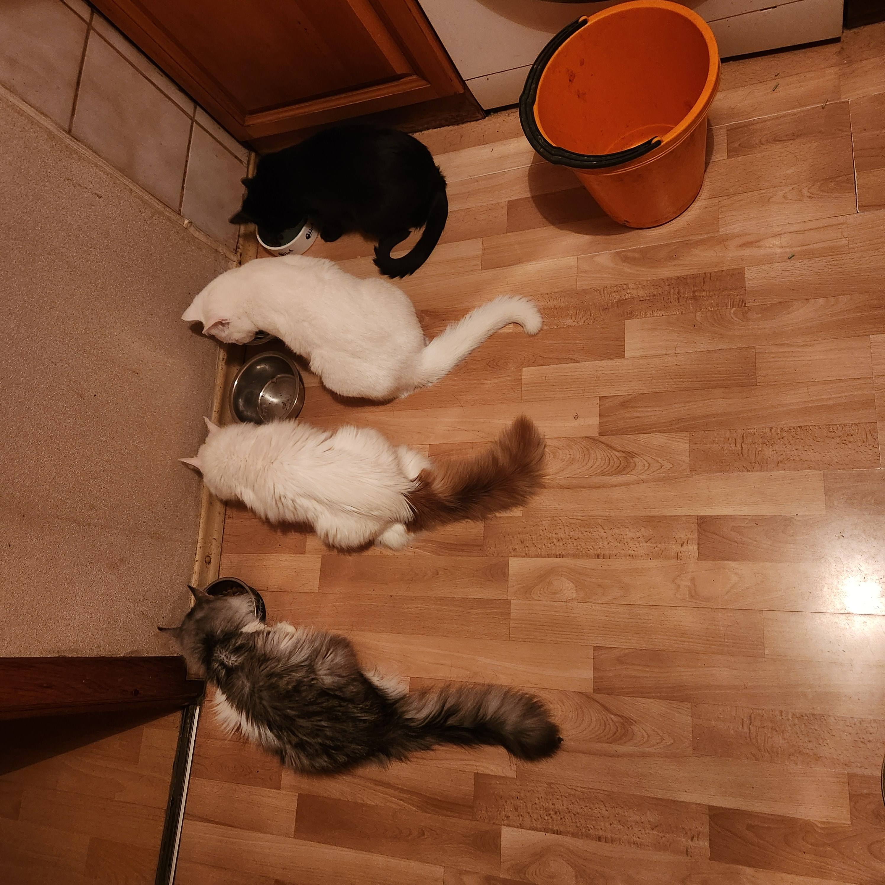 помогите оплатить жильё в этом месяце