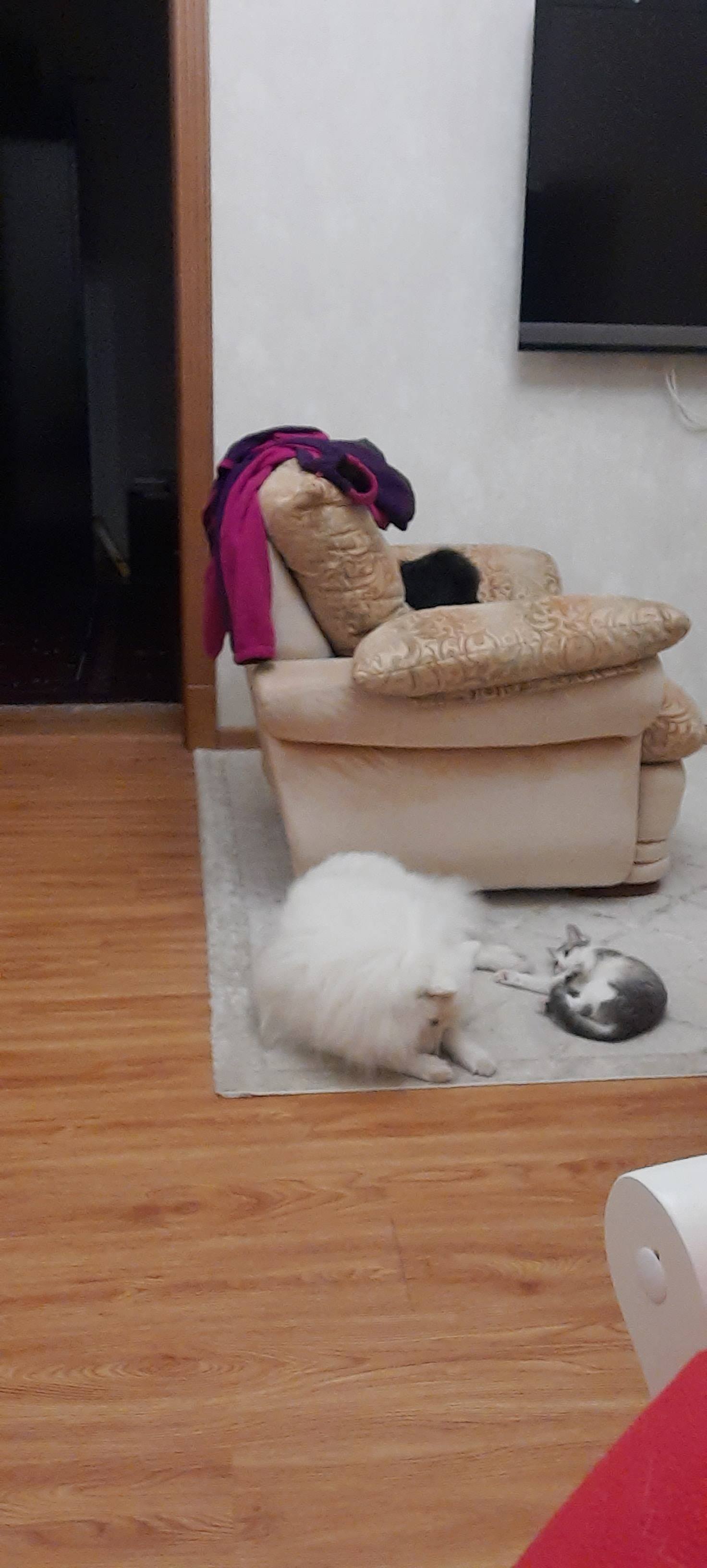 Выбраться из отчаянного положения