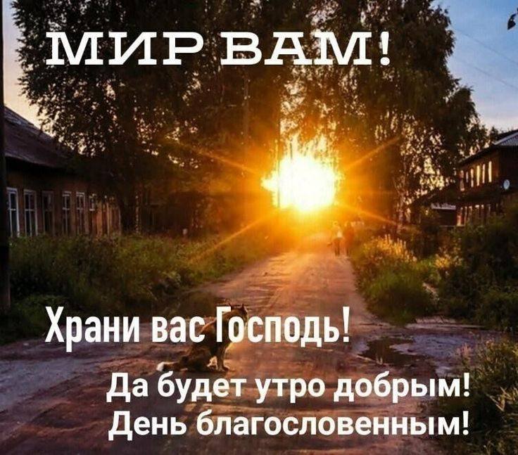 Очень переживаю, нуждаюсь в вас и в помощи 🙏🏻😔