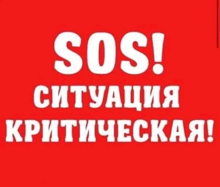 🆘🙏🏻💗Прошу помощи оплатить половину за аренду