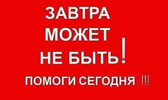 КРИК О ПОМОЩИ ПОМОГИТЕ СПАСТИ ДЕТЕЙ