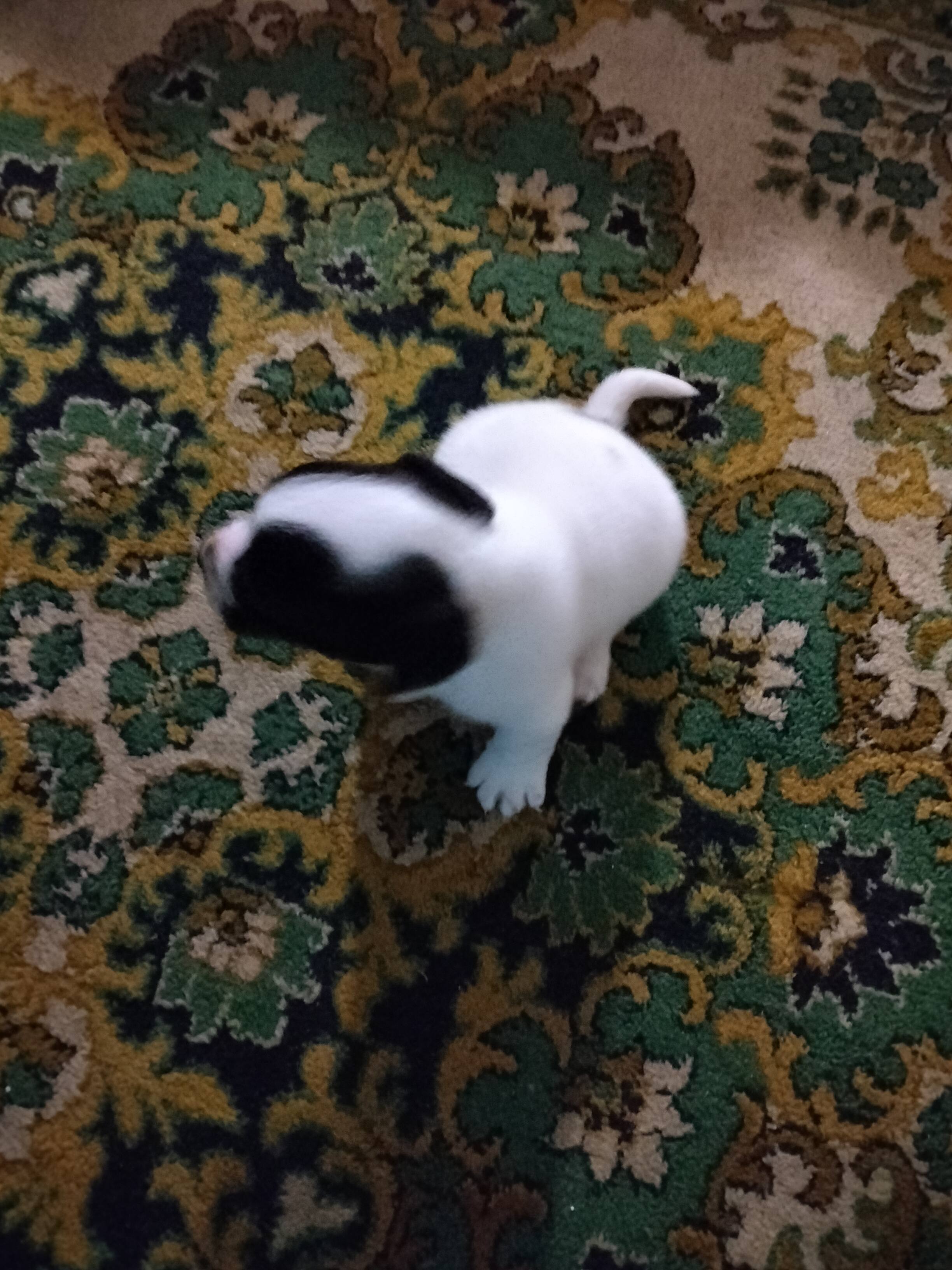 На продукты