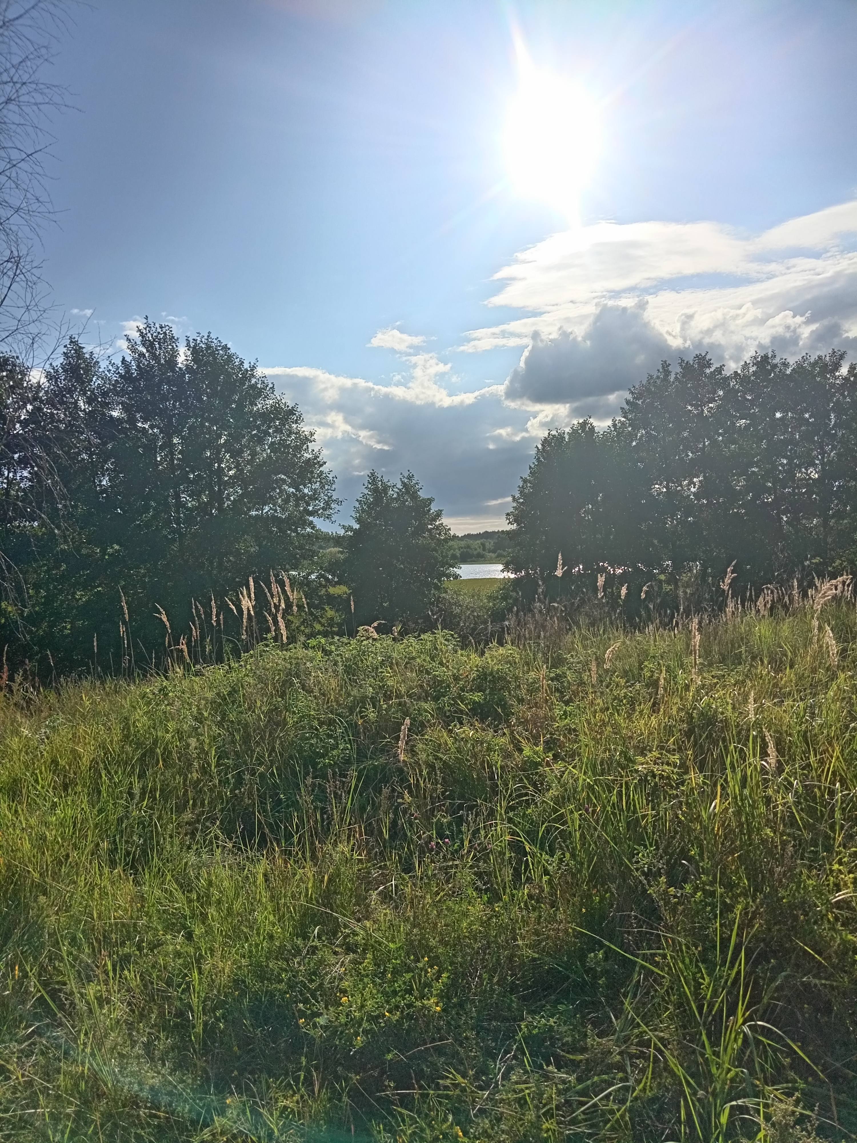 Пожалуйста, помогите. Очень сложная ситуация.