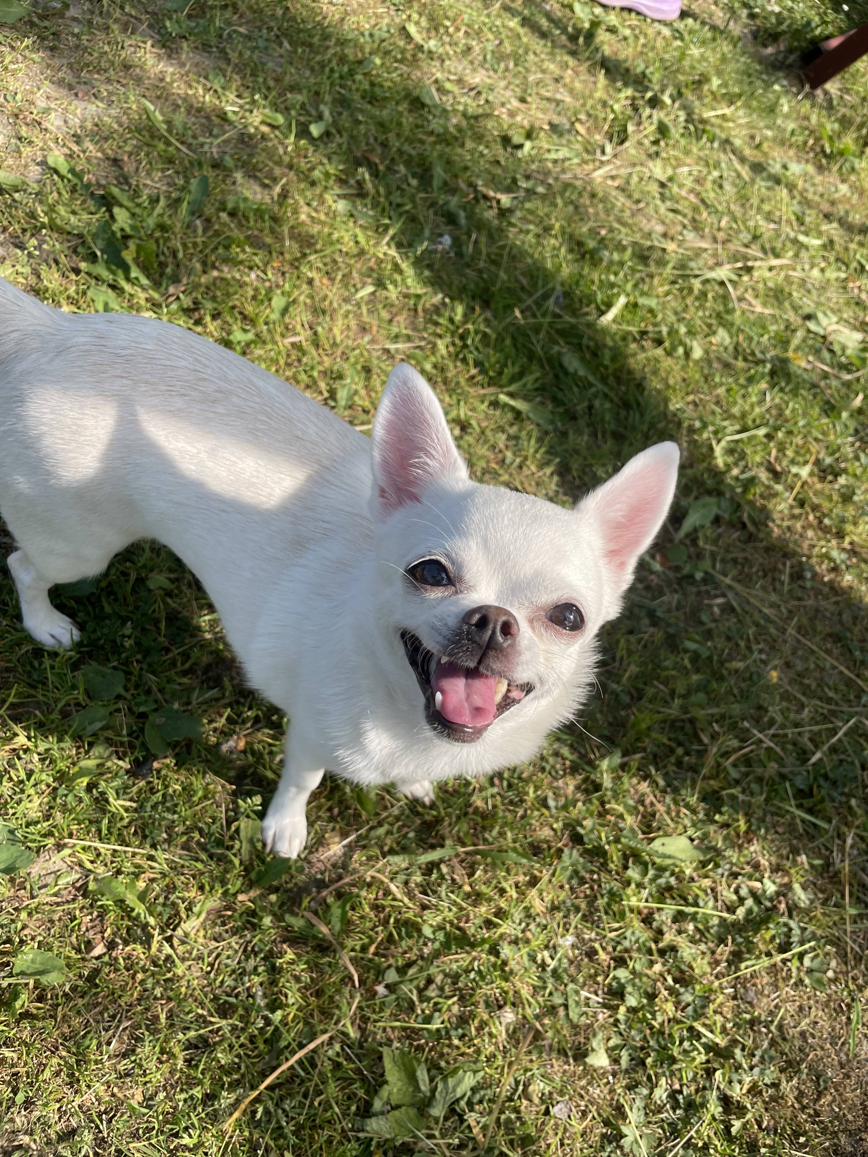 Помогите собрать денежные средства на операцию