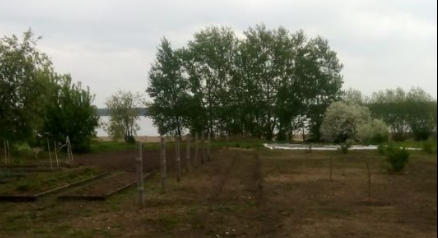 Мечтаем о домике в деревне