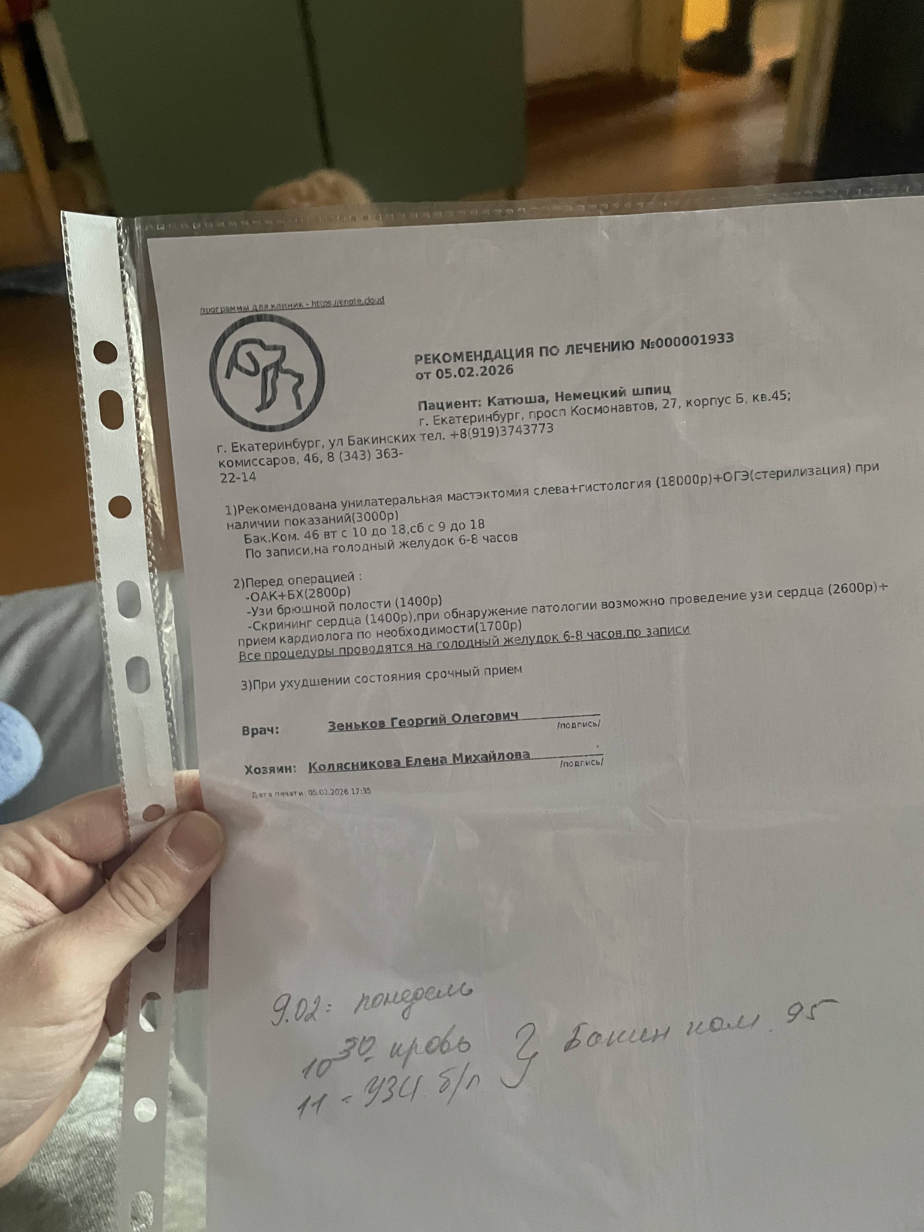 Прошу всех пожалуйста помогите вылечить собачку!!!