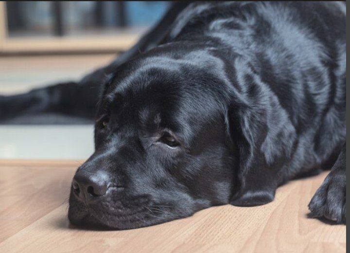 ПОМОГИ ОПЛАТИТЬ ОПЕРАЦИЮ