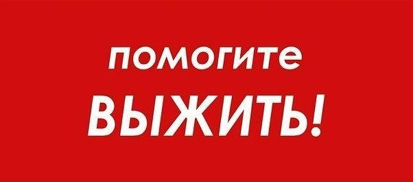 Сахар в крови падает, очень плохо, боюсь комы!😓😣