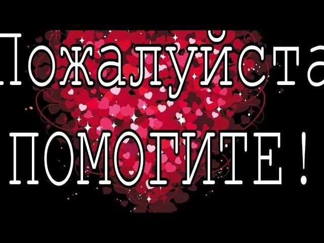 Умоляю вас люди спасите, остановите этот ужас.