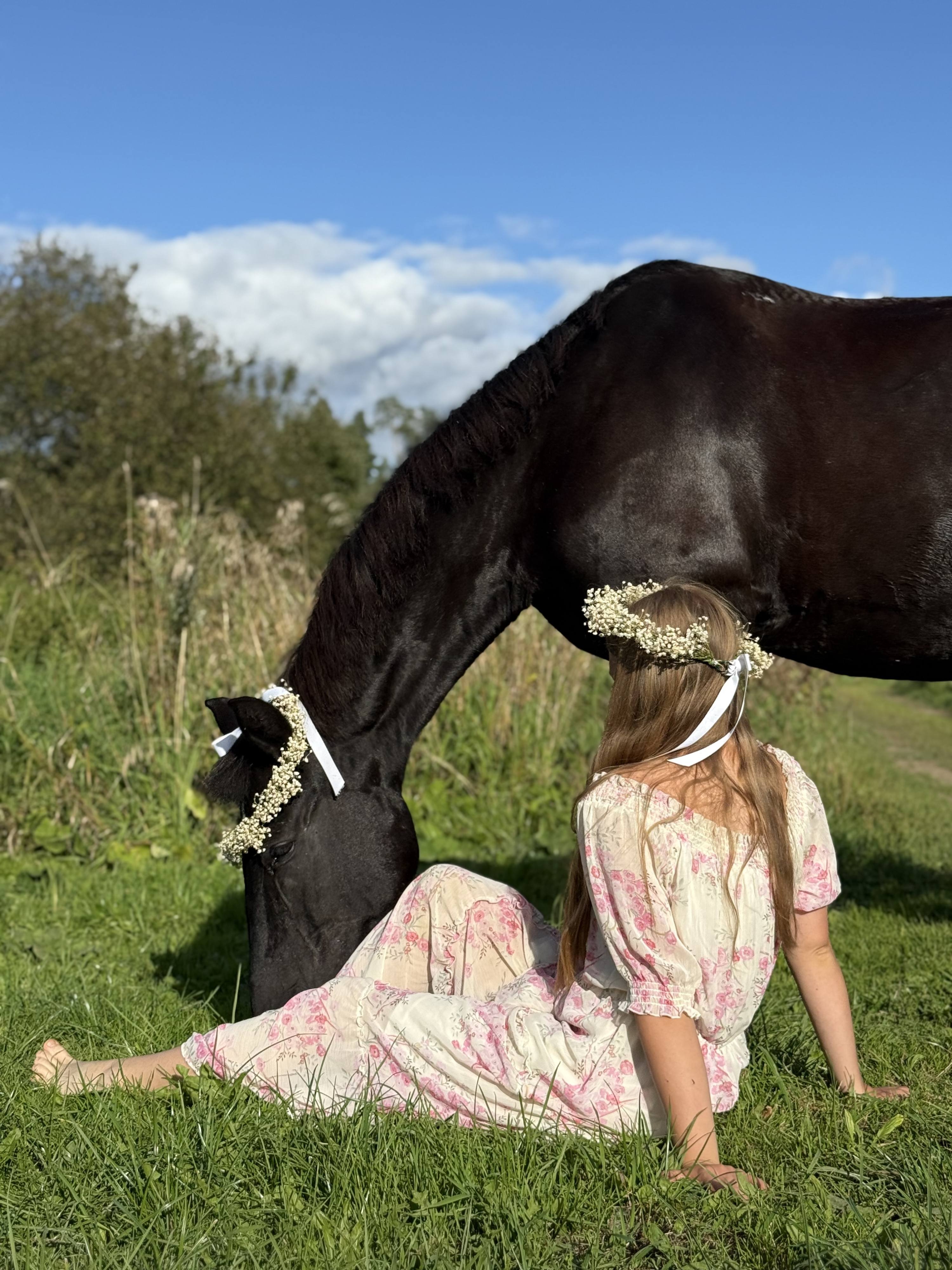 Спасала животных и осталась в долгах