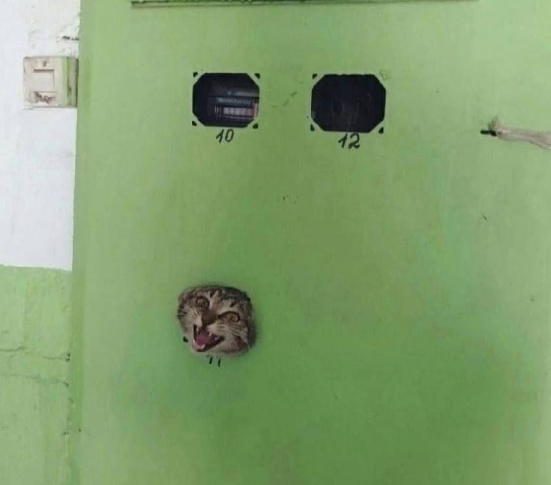 оплатить квартиру, закрыть займ и покушац:(