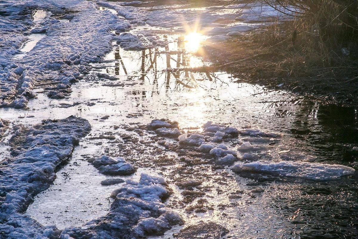 Нужна Ваша Помощь. 🌍Пожалуйста, прочитайте🙏🙏🙏