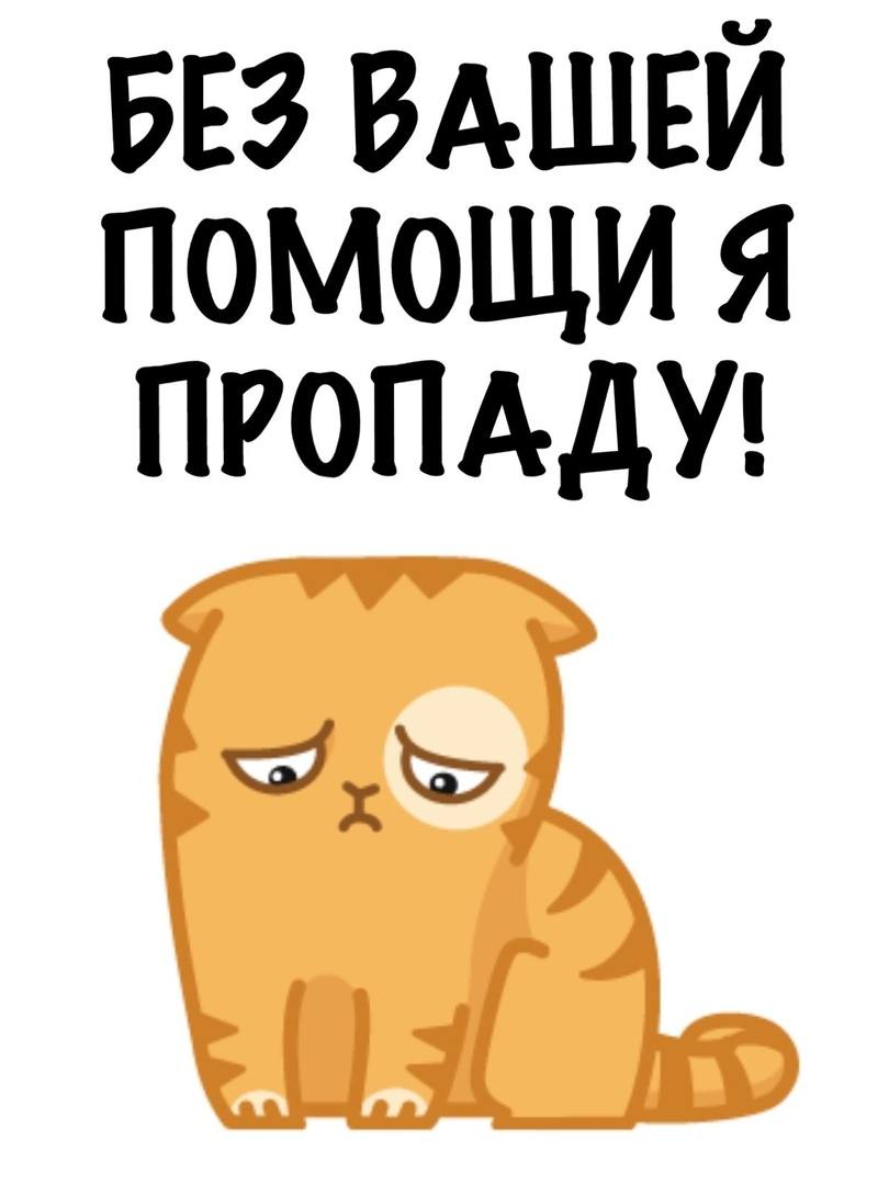 ПРОШУ ВАС ПОМОГИТЕ ПОЖАЛУЙСТА УЖЕ ПОШЛА ПРОСРОЧКА