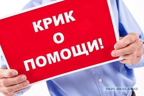ХОТЬ В ДОЛГ ПРОШУ ПОМОЩИ ПОЖАЛУЙСТА ПОМОГИТЕ 🆘🆘