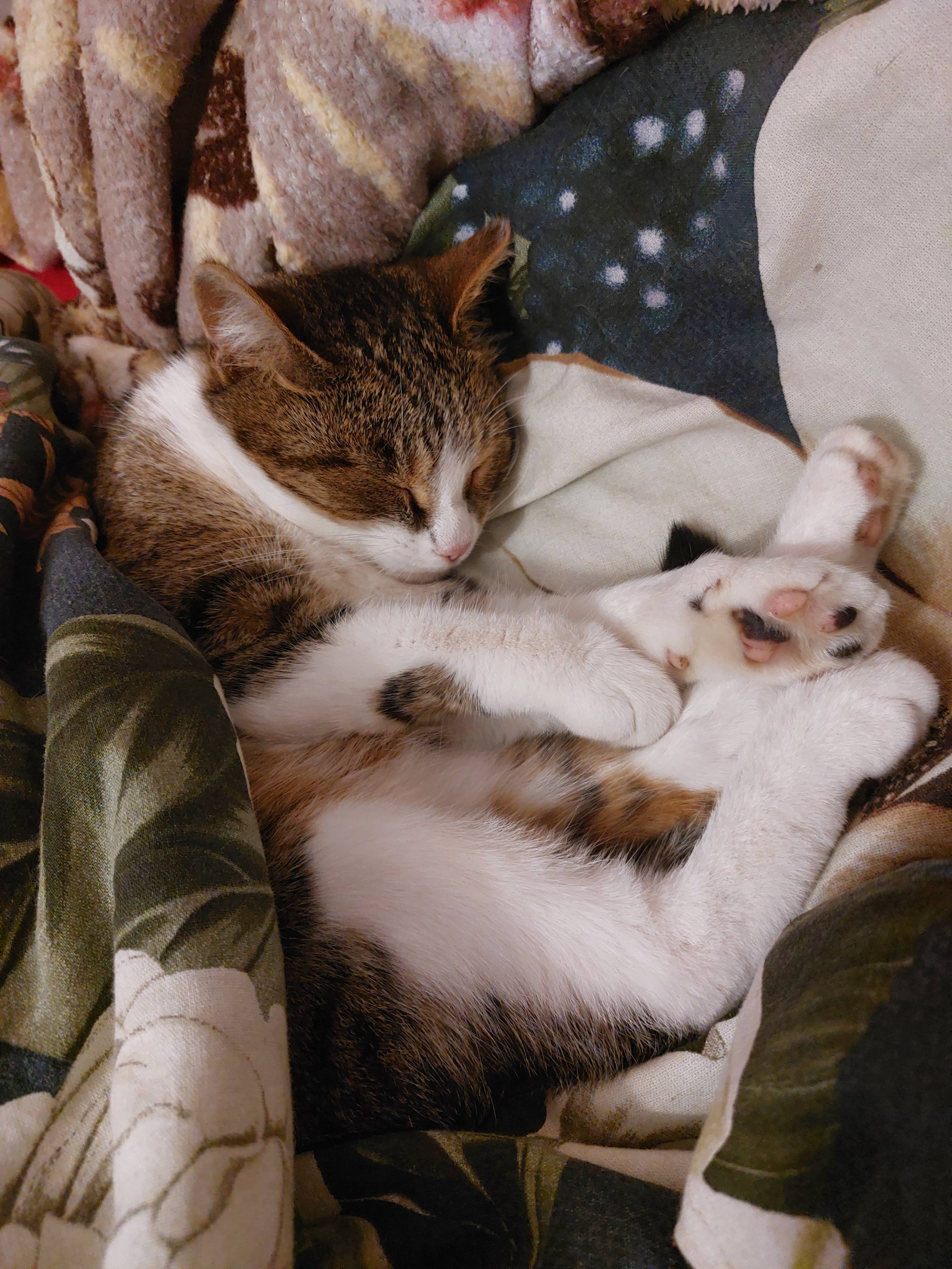 Помогите, пожалуйста, погасить часть кредита