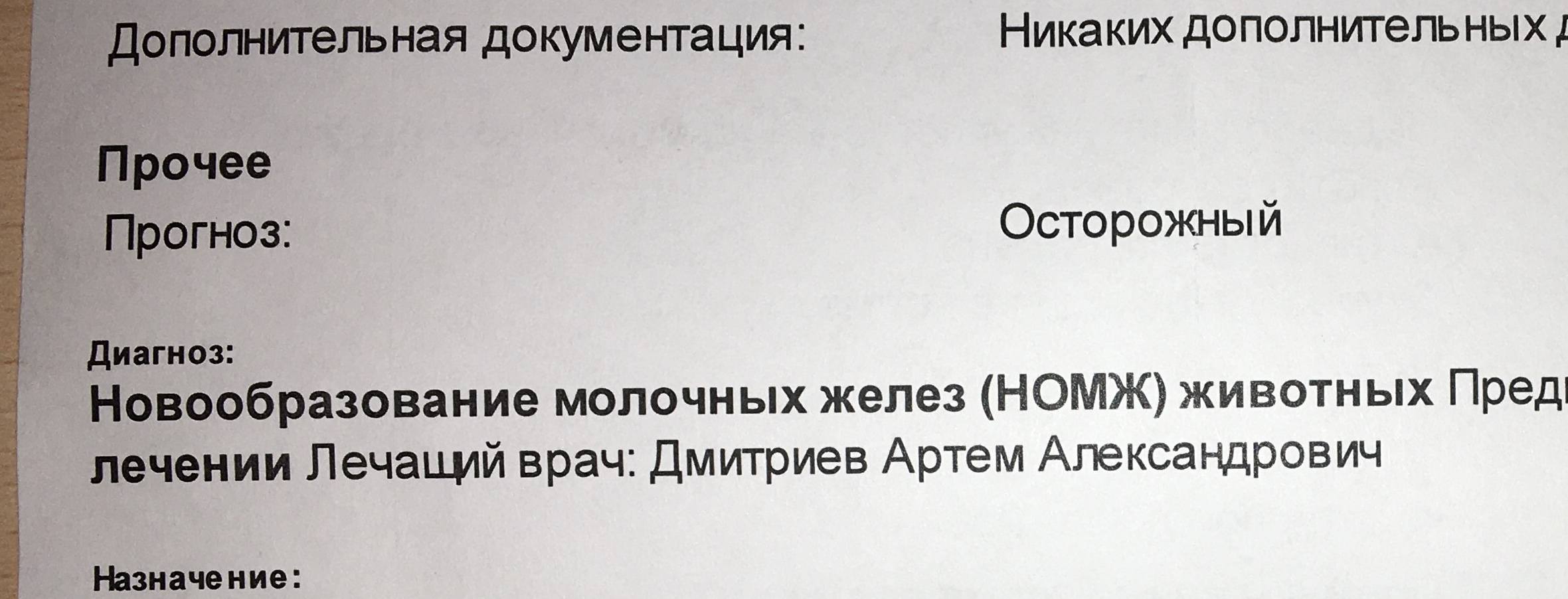 Помощь любимой кошке