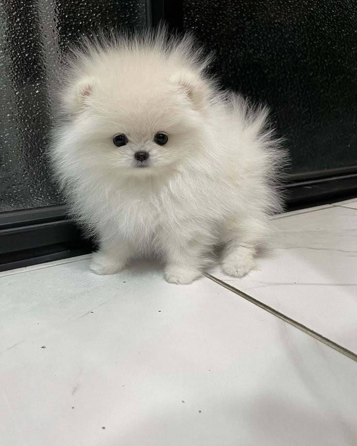 Всех приветствую.