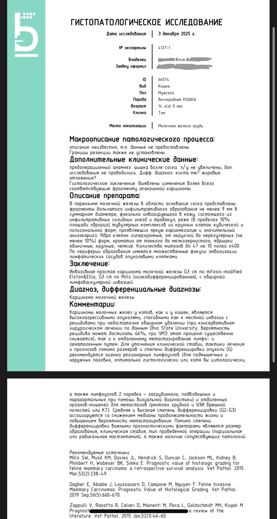 Кредит за лечение котика