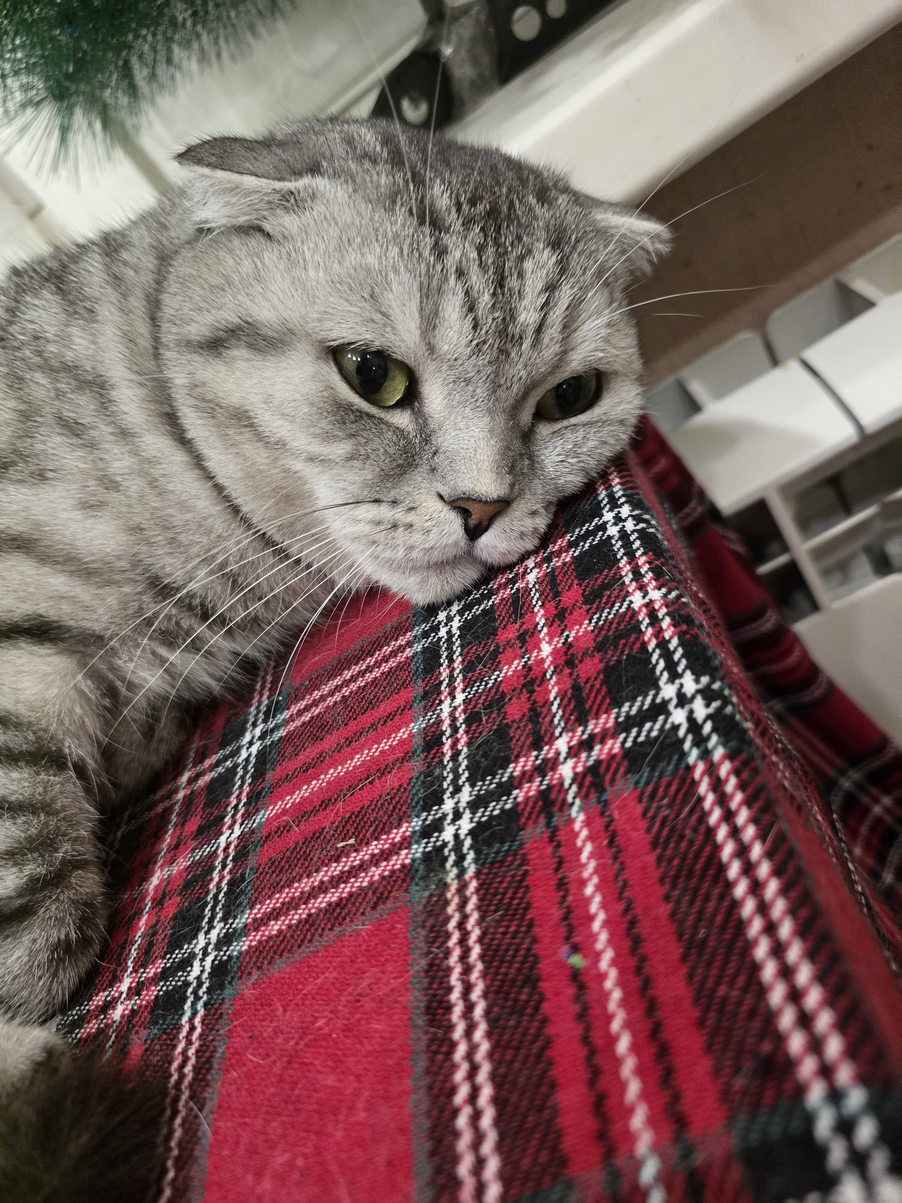 Помогите пожалуйста закрыть  кредиты