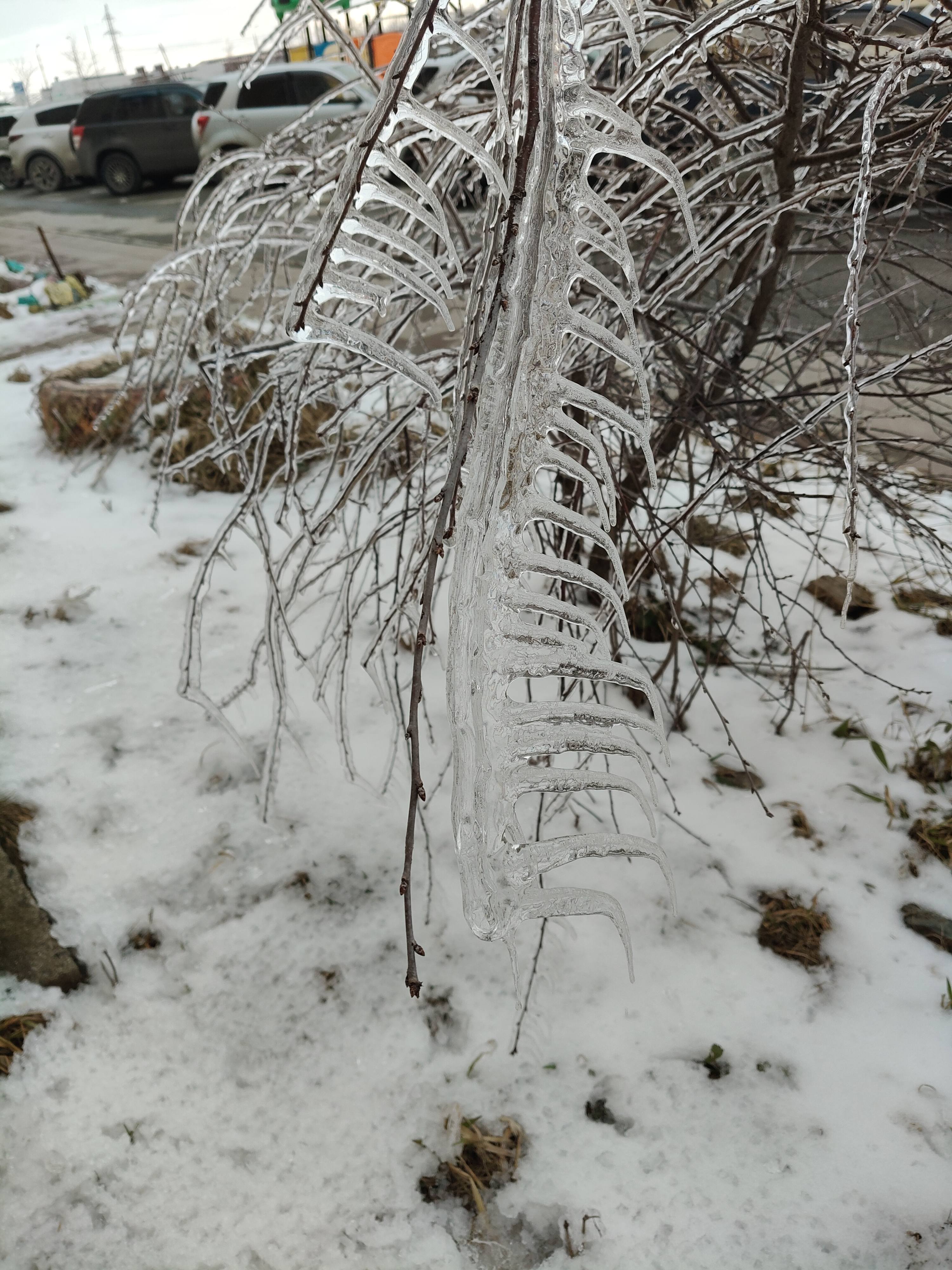 Помогите моей семье закрыть кредиты