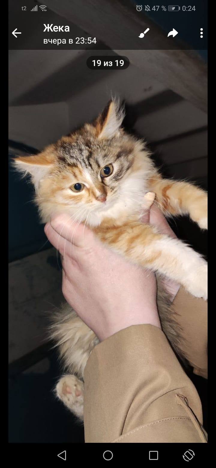 Помогите оплатить коммуналку  и отдать в магазин п