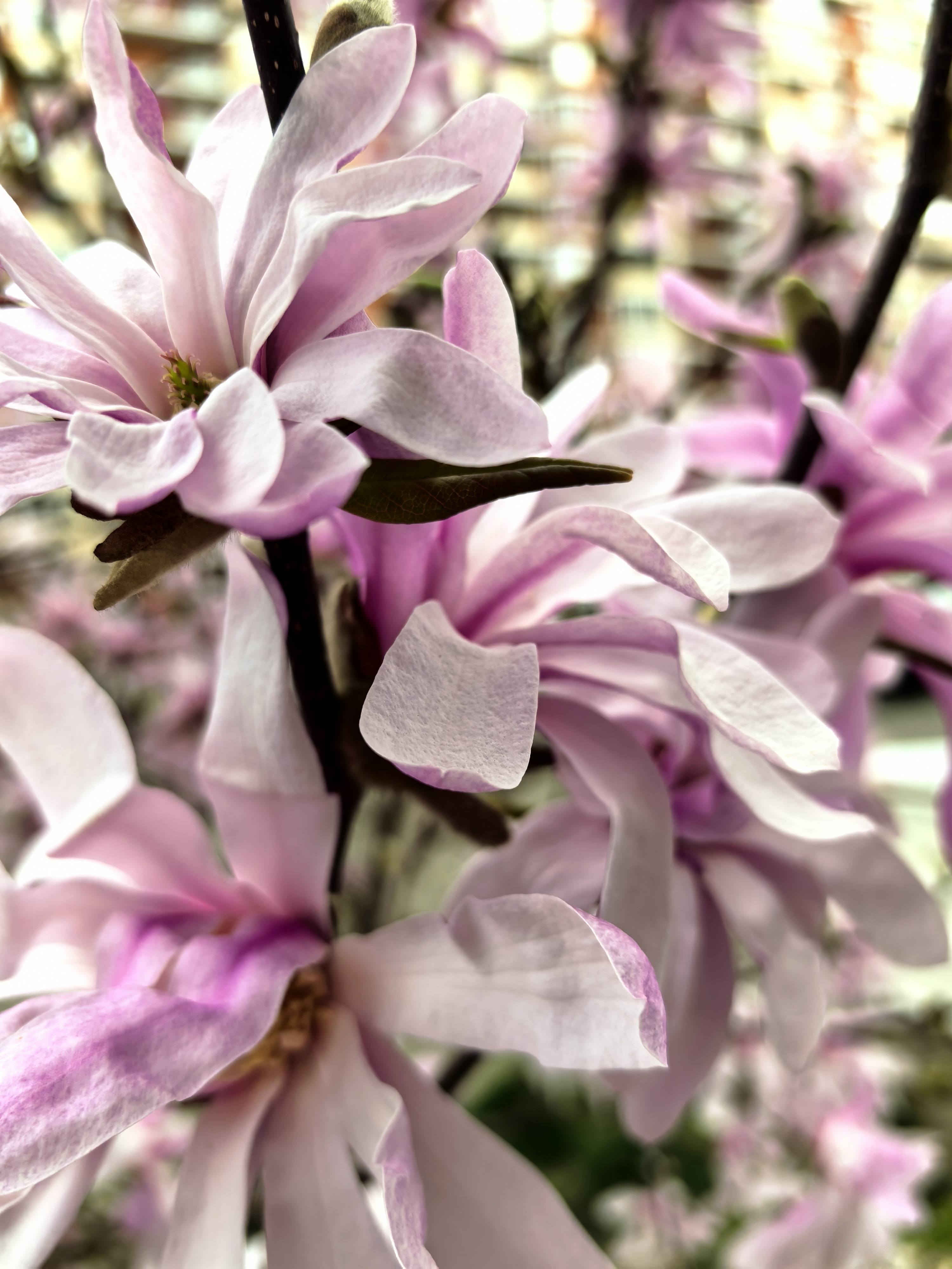 Приглашаю мецената для развития творчества.