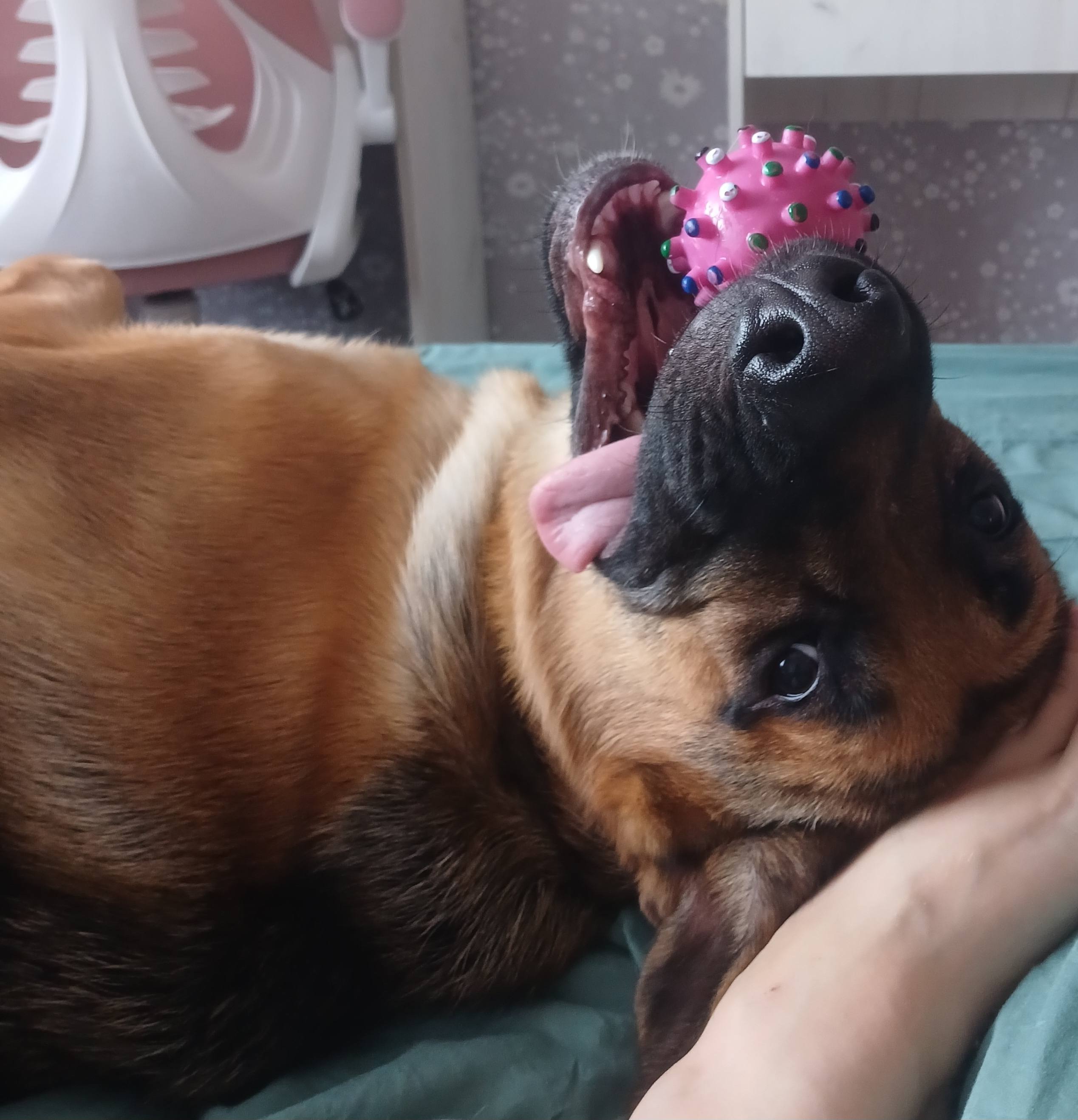 Нужны деньги на покупку дома и переезд туда