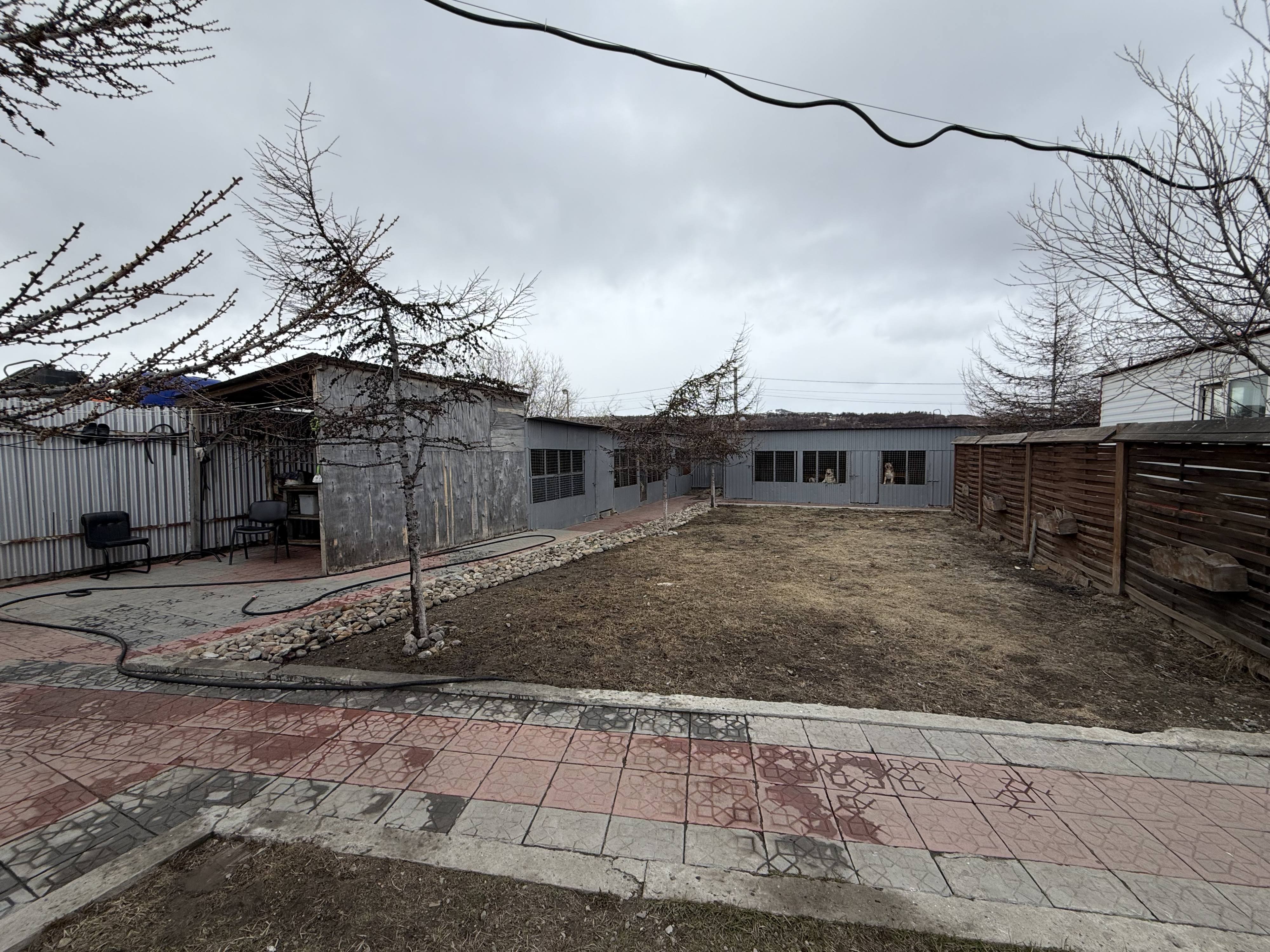 Прошу помощи в постройке вольеров для собак