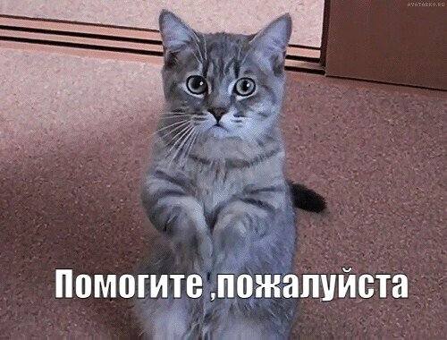 Прошу помогите пожалуйста люди добрые умоляю вас