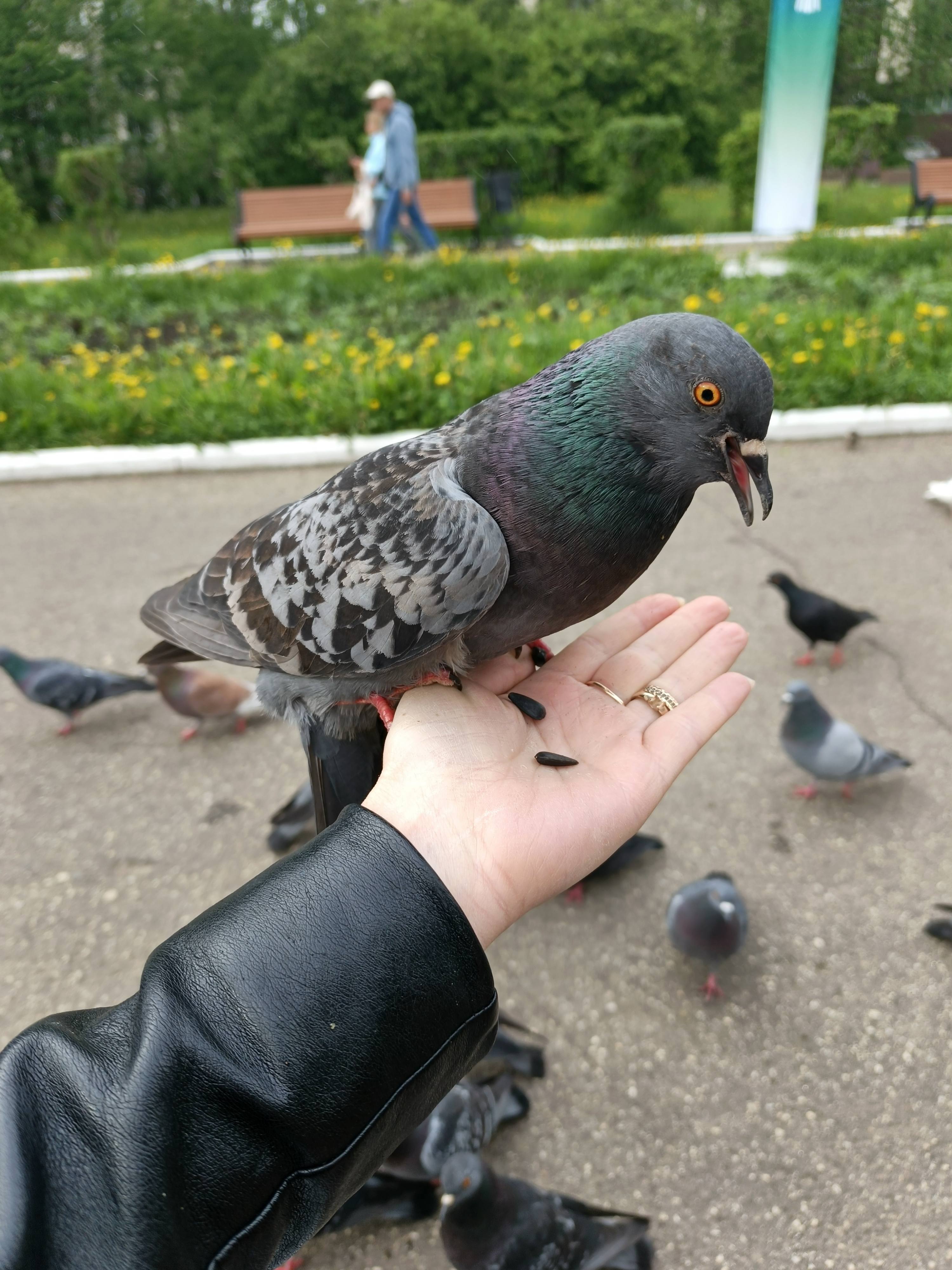 Помогите пожалуйста