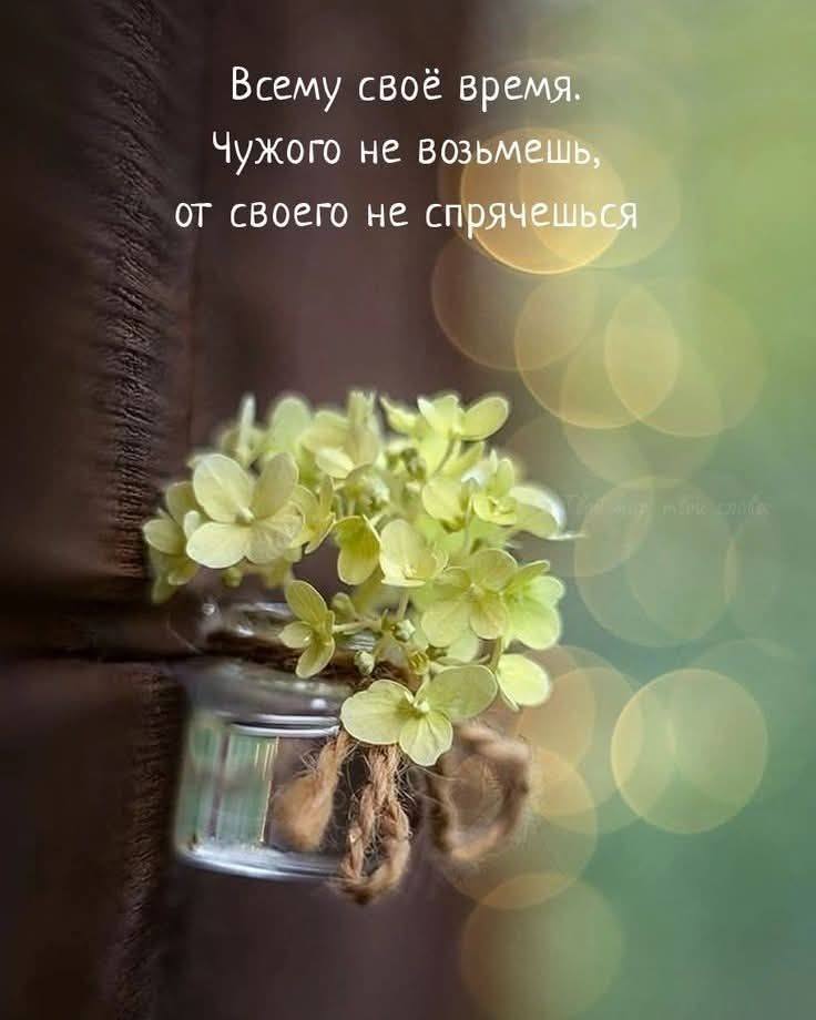 Помогите хоть как то прожить это лето зарплата тол