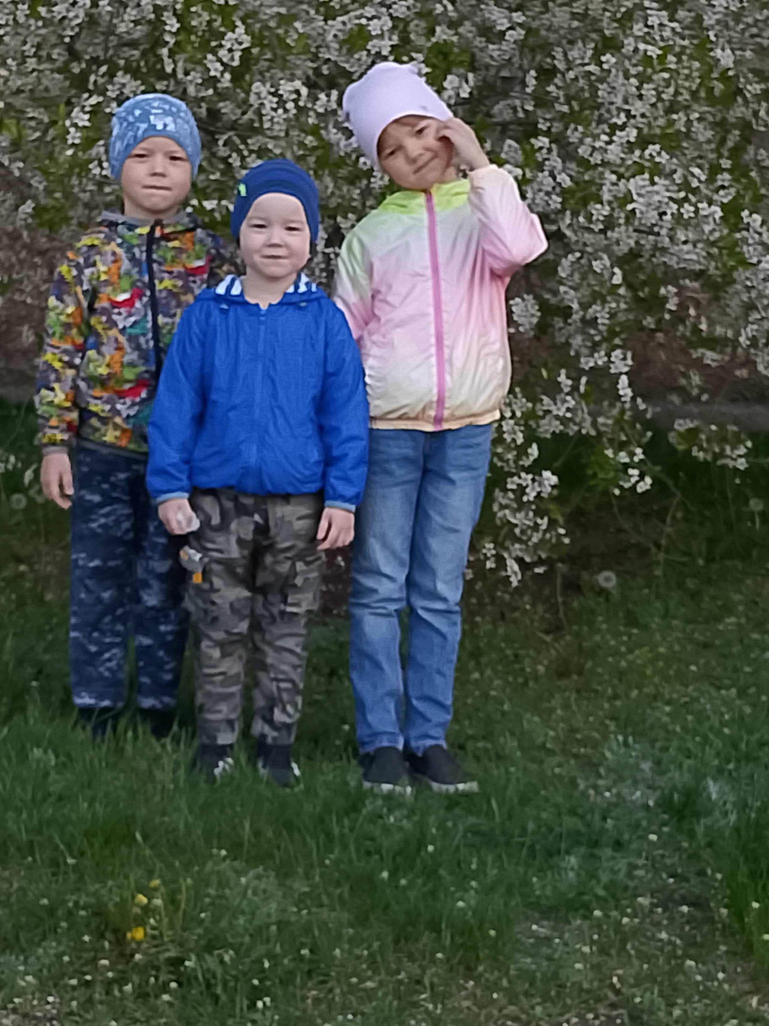 Прошу, помогите пожалуйста 🙏