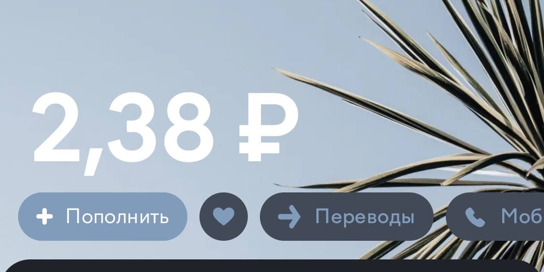 Нечего есть